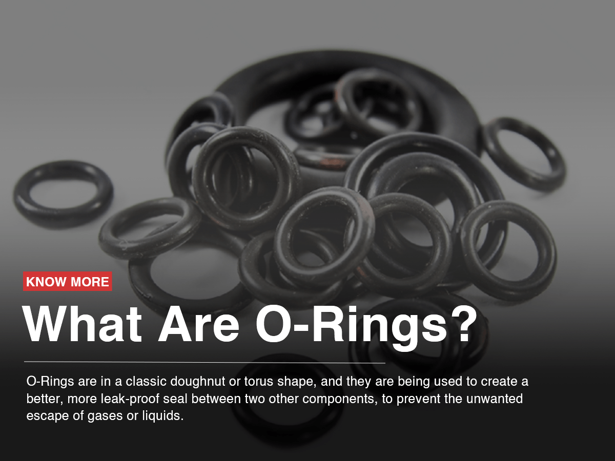 What Are O-Rings? What Are O-Rings?